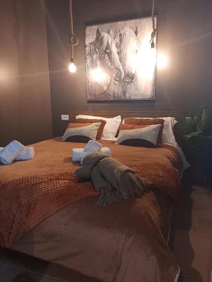 Apartments Mazijini Dvori زادار المظهر الخارجي الصورة